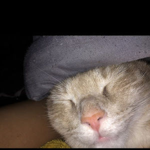 Meet your Posher, Yes